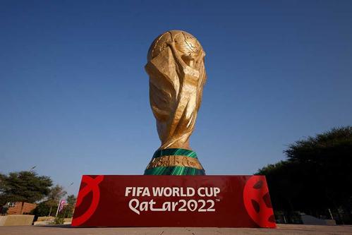 民法ワールドカップの影響と展望